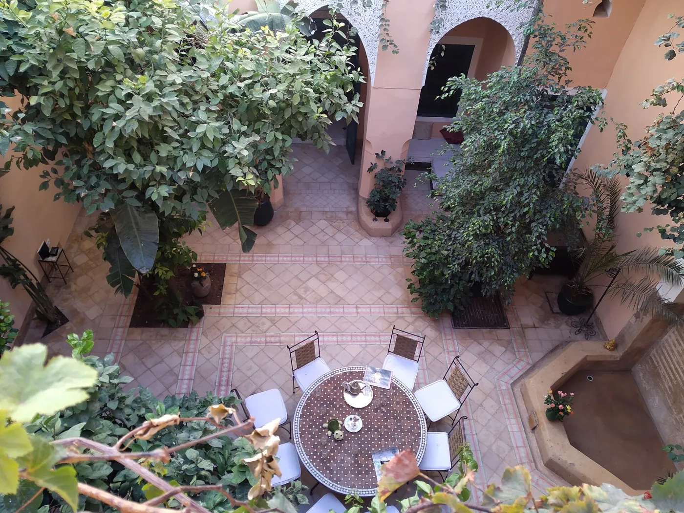 Plant-filled courtyard of a traditional riad in Marrakech