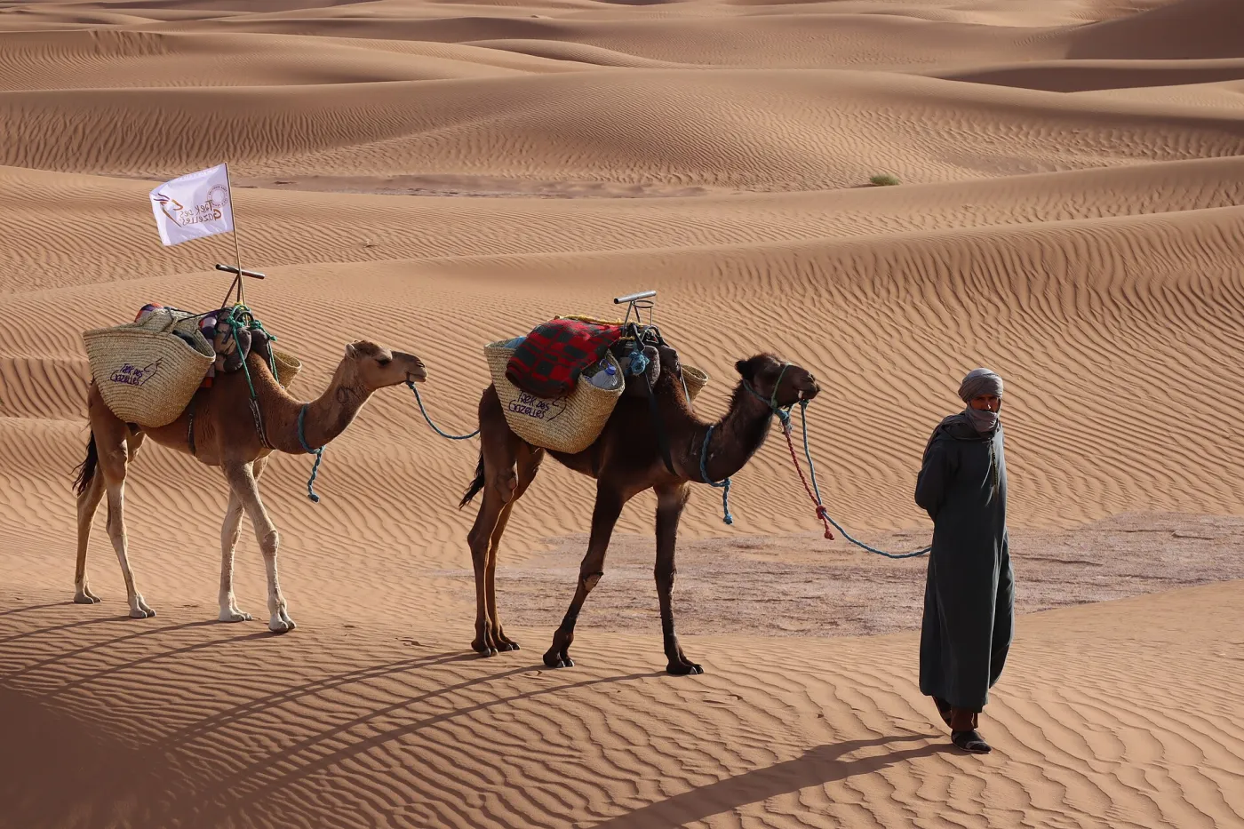 LES DROMADAIRES TREK DES GAZELLES.jpg LES DROMADAIRES TREK DES GAZELLES.jpg