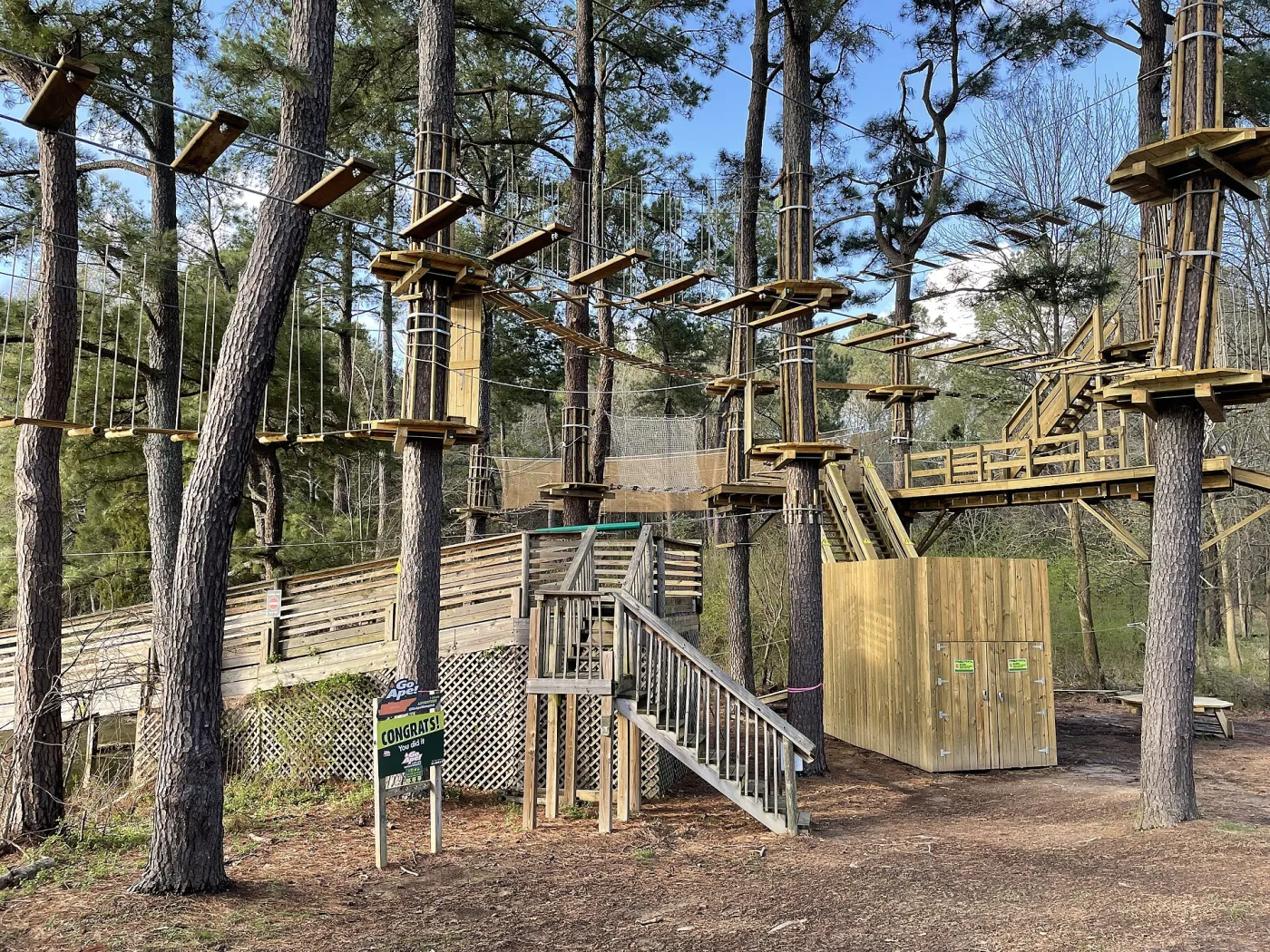 Zipline platforms in a forest adventure park