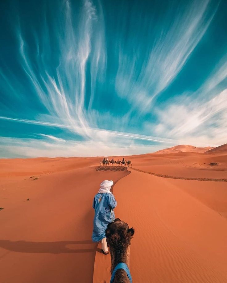 Exploring Casablanca Moroccan hospitality tours