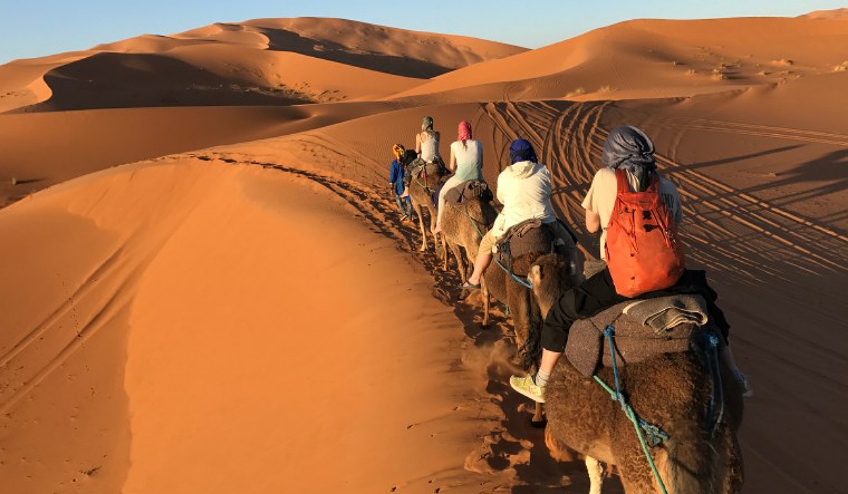 Morocco desert adventure business transfer morocco