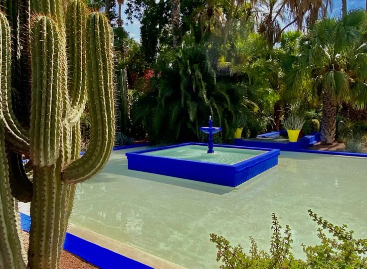 camel trekking Morocco