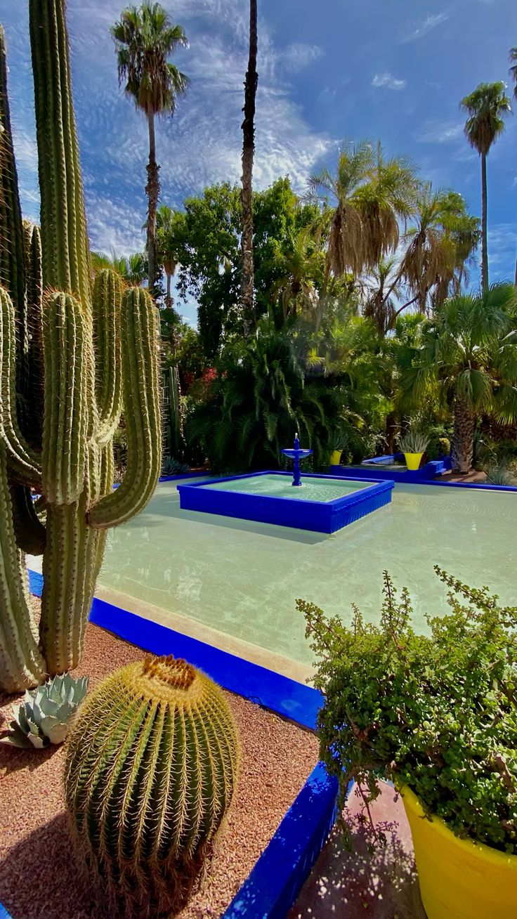 camel trekking Morocco business transfer morocco