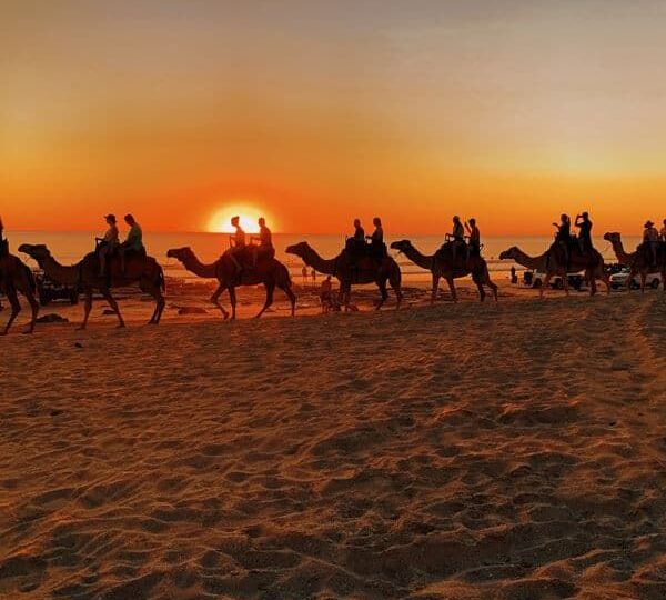 Morocco nature tours