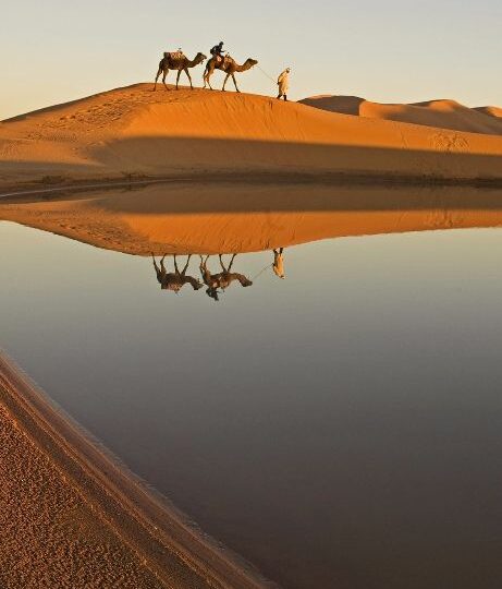 Marrakech discovery tour