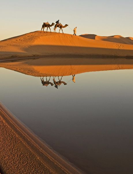 Marrakech discovery tour