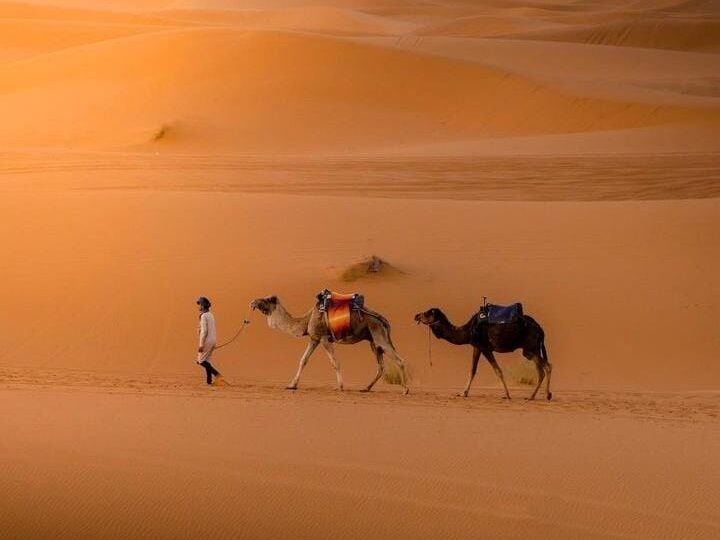 Marrakech family activities