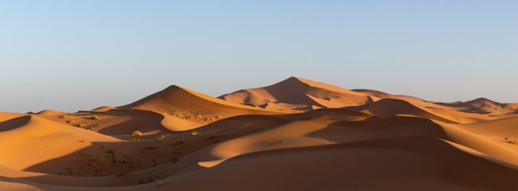 Morocco travel agency